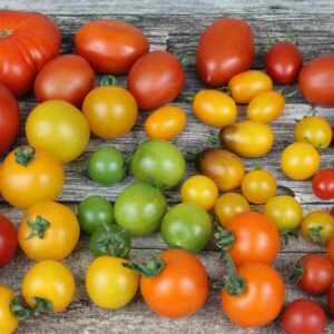 Tomates anciennes 1kg